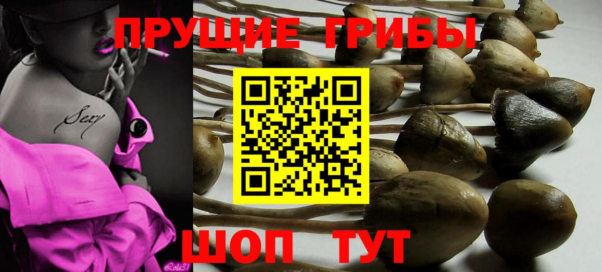 Галлюциногенные грибы MAGIC MUSHROOMS Малгобек